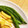 コハダちゃん's cooksnap of when they made 最強においしい！いんげんの素揚げ.