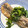 クック75J0LW☆'s cooksnap of when they made サクサク&栄養満点！イワシの唐揚げ.