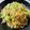 azbjbn's cooksnap of when they made ∮ご飯がすすむ♬もやしと春雨のマーボー∮.