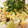 ☆きゃない☆'s cooksnap of when they made いかとレタスの香味焼きそば.