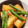 かな☆'s cooksnap of when they made インゲンと厚揚げの炒め物.