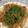 クック49L4Ho☆'s cooksnap of when they made 肉いらず！揚げ玉とモヤシだけの焼きそば.