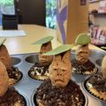 アリスター's cooksnap of when they made ハロウィン✴︎マンドレイクカップケーキ.