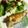 ｂｅｒｒｙ＋'s cooksnap of when they made 子どもに大人気！カレイのムニエル.