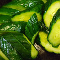クック7OHEGE☆'s cooksnap of when they made 簡単！安い！田舎きゅうりのからし漬物.