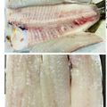 ボブナナ's cooksnap of when they made 【お魚】簡単かんたん☆ヒラメのさばき方②.