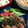こつゆ514's cooksnap of when they made じっくり揚げた鶏のネギソース（油淋鶏）.