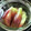 Remtan's cooksnap of when they made みょうがの甘酢漬け.