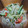 fu♪♪'s cooksnap of when they made かにかまともやしの中華風サラダ.