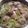 わかみんん's cooksnap of when they made 白菜、ひき肉だんご、春雨のスープ.