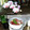 ladyoscar's cooksnap of when they made 簡単手作り 和風ドレッシング ゴマ風味.