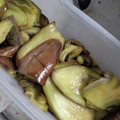 キングストロベリー☆'s cooksnap of when they made ナスの焼き浸し　.