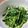 クックNDXBFG☆'s cooksnap of when they made 余ったネギみつばニラで簡単サラダ水菜でも.