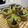 るる◯'s cooksnap of when they made 我が家の抹茶・オレオマフィン.