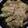 クックRGHNT9☆'s cooksnap of when they made シェフ直伝！これが焼きなすの基本だよ〜！.