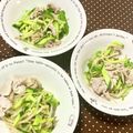 ふたごゆき's cooksnap of when they made ごま香る☆きゅうりともやし冷しゃぶサラダ.