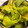 クックIS9CE7☆'s cooksnap of when they made ヘチマの皮の炒め物.