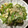 ＭＩ−ＳＡＮ's cooksnap of when they made ピーマンとしらす炒め.
