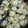 びすp's cooksnap of when they made いわしのつみれ汁.