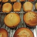 きょこすけ's cooksnap of when they made ◆お店の味◆めちゃ美味しいフィナンシェ◆.