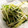 kbmm's cooksnap of when they made 水菜のゴマ和え.