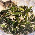 よち・ちーのすけママ's cooksnap of when they made ほうれん草のお浸し　海苔で一味アップ♪.