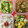SAYURI1024's cooksnap of when they made きゅうりとセロリの塩きんぴら.