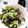 ひトみ's cooksnap of when they made タッパーにお任せ！野菜の水切り～♪.
