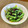 卯月のうさぎ２０１４'s cooksnap of when they made いんげんの海苔マヨ和え.