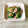 さくらん餅's cooksnap of when they made きゅうりとツナのおかか和え.