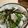 papikun's cooksnap of when they made ほぐした焼きサバ丼.