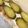 クックDAD's cooksnap of when they made きゅうりのピクルス.