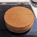 クマノミと3匹の羊's cooksnap of when they made ココアスポンジケーキ.