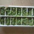 まったり宇治抹茶's cooksnap of when they made 牛乳と全卵で濃厚抹茶アイスクリーム.