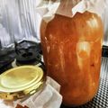 マツモトメガネパーマ's cooksnap of when they made 自家製　アプリコットジャム.