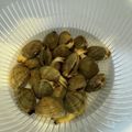 yukirui's cooksnap of when they made これで完璧！あさりの砂抜き方法♪.