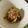 kuriくん's cooksnap of when they made カボッコリーのおひたし.