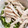クック甘党。's cooksnap of when they made ダイエットに☆炊飯器で簡単しっとり蒸し鶏.