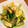 さらあらいぐま's cooksnap of when they made 小松菜と油揚げの煮浸し.