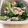 クック9WEE9W☆'s cooksnap of when they made ツナマヨ春菊和え.