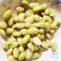 milestone★'s cooksnap of when they made 青大豆(秘伝豆)のひたし豆.