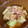 クックHDP0M2☆'s cooksnap of when they made レンジ蒸しトロ茄子のお浸し.