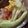 MULA's cooksnap of when they made キャベツとふんわり卵とハム炒め.
