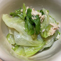 saori・ω・'s cooksnap of when they made 超簡単！レタスとツナのサラダ☆大量消費☆.