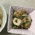 Ruriluru's cooksnap of when they made ちくわときゅうりのマヨおかか和え.