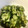 まなまな:）'s cooksnap of when they made 簡単作り置き！きゅうりとわかめの酢の物.
