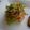 melmarilyn's cooksnap of when they made 絶品！三つ葉と切干大根のサラダ／おひたし.