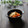 まろんかふぇ's cooksnap of when they made 〖大豆と野菜の簡単甘煮〗.