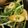 ななみはママ's cooksnap of when they made ちくわと水菜のからし酢醤油あえ.