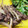 shogopapa's cooksnap of when they made 牛肉とごぼうのうまいやつ！.